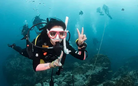 Scuba Diver