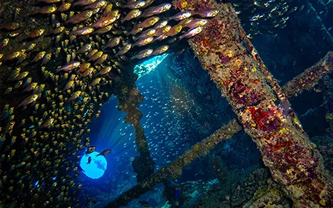 Wreck Trek Divers