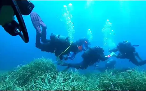 Dive Guide