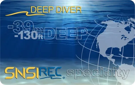 DEEP DIVER card